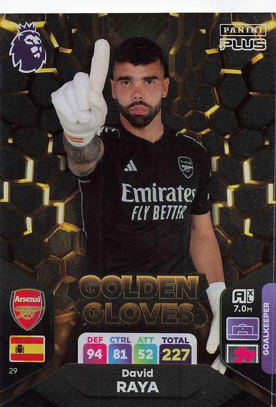 DAVID RAYA - PANINI E/Premier League PLUS 2024 - FOIL `GOLDEN GLOVES` TRADING CARD 29