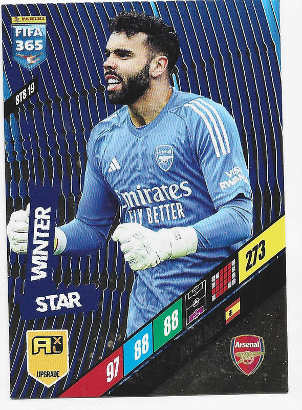DAVID RAYA - PANINI `FIFA 365 COLLECTION` 2024 UPDATES - `WINTER STAR" TRADING CARD STS19