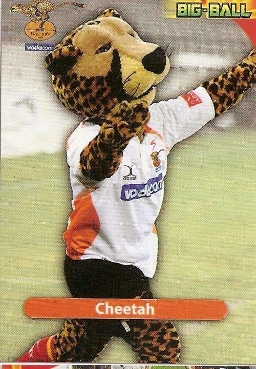 2010 BIG BALL RUGBY COLLECTION - CHEETAH'S MASCOT TRADING CARD CH38