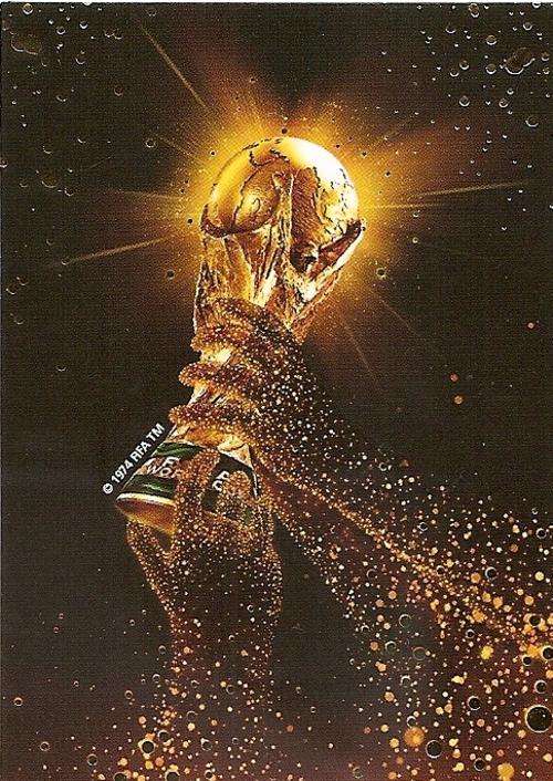 FIFA WORLD CUP 2010 `PREMIUM` COLLECTION - RARE TROPHY FOIL TRADING CARD