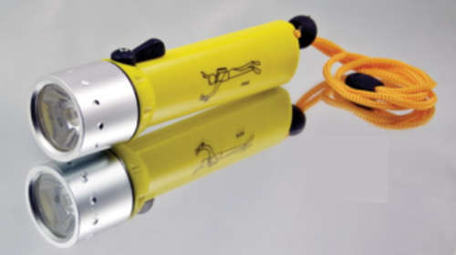 Diving Flashlight CREE 3W LED Torch Waterproof Torch
