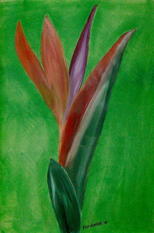 Strelitzia - ORIGINAL ACRYLIC ON CANVAS (A3-size)