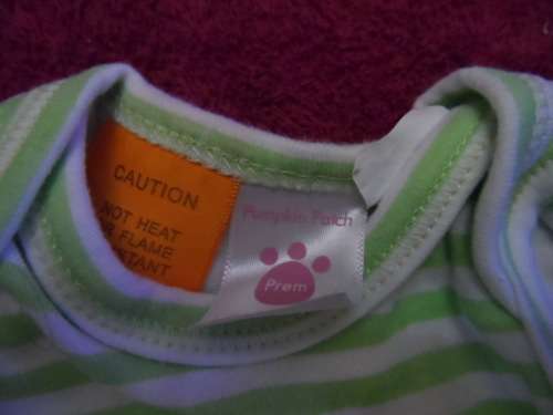 Lovely Pumpkin patch baby babygrow