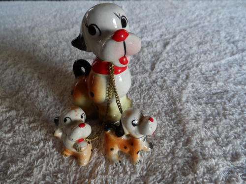 Capri Dog with puppies