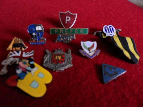 BADGES LOT