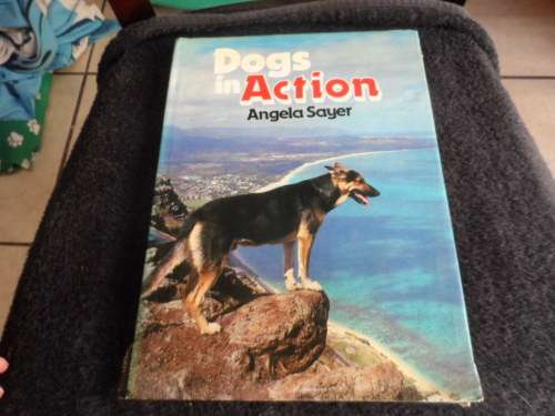 Dogs in Action Very large hard cover dust cover has little tear on cover 128 pages