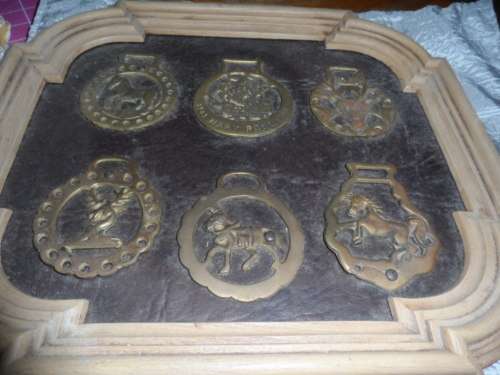 Unusual frame with 6 horse brasses