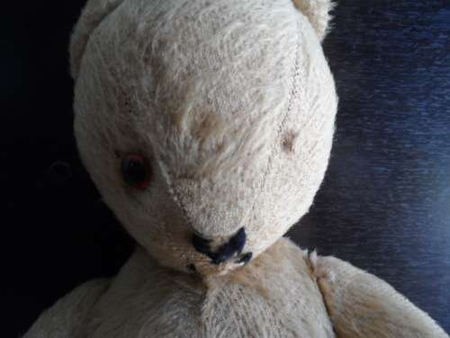 Very old mohair Ark teddy Head is straw filled has lost one eye about 33cm