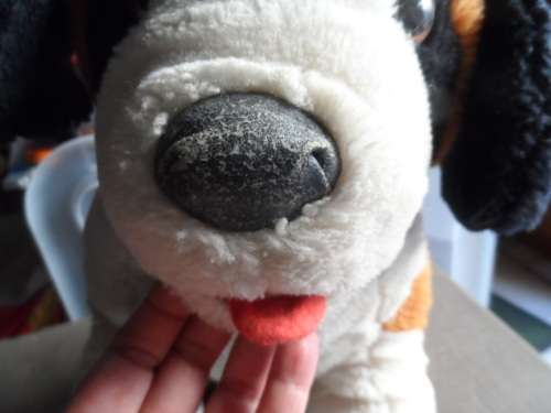Large Arlenco dog soft toy played with