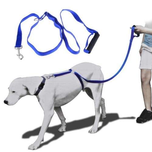 Instant Dog Trainer Leash Stops Pulling Stops Choking Your Beloved Doggy 6ft Leash Small to Medium
