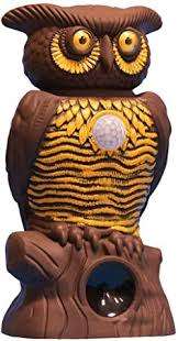 OWL ALERT STATUE