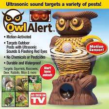 OWL ALERT STATUE