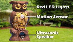 OWL ALERT STATUE