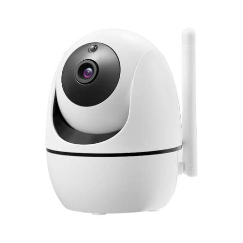 IP Cameras