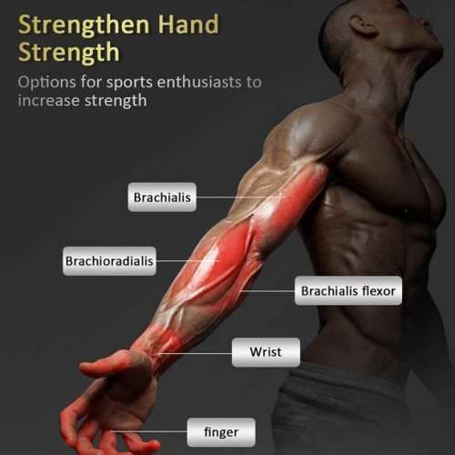 5 Pack Hand Grip Strengthener Finger Forearm Strength Exerciser Kit-Orange