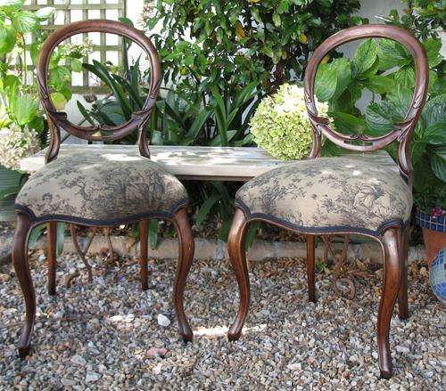 Elegent pair of Victorian walnut bustle back chairs