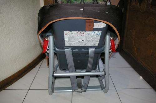 Back View