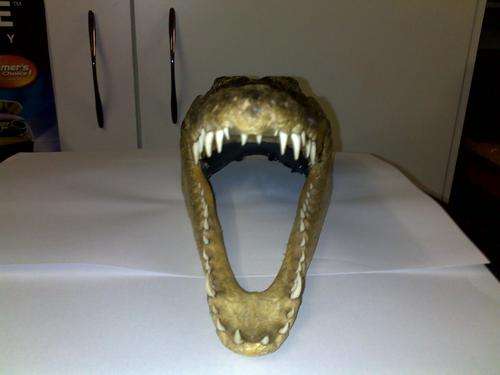 Bite