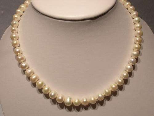 LOVELY GENUINE FRESHWATER POTATO PEARLS WITH SILVER PLATED SPRING RING CLASP. 18 inch.
