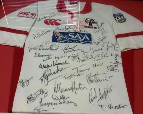 Cats Rugby Jersey.