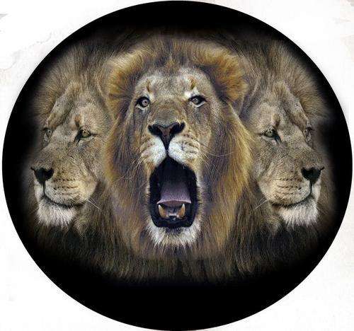Lion108
