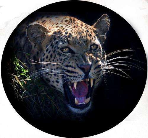 4x4 Spare Wheel Covers - Leopard Prints