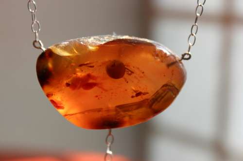 SPECTACULAR GENUINE AMBER WITH FOSSILS AND STERLING SILVER STATEMENT NECKLACE 62.7GRAM 61.5CM LENGTH