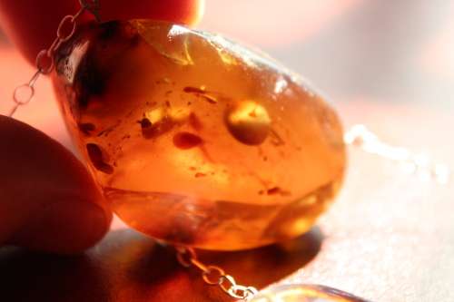 SPECTACULAR GENUINE AMBER WITH FOSSILS AND STERLING SILVER STATEMENT NECKLACE 62.7GRAM 61.5CM LENGTH