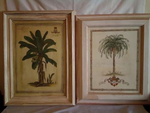 Stunning set of Shabby Chic Framed Vintage Style Botanical Prints H+-72cm each width +-55cm
