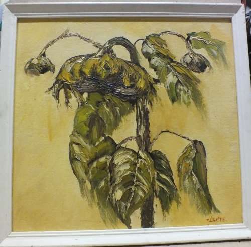 Framed Original Still Life Oil on Board Bargain By "LENTE", - (420mm x 400mm)