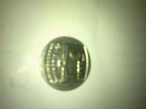 Inauguration R5 will make a MS when graded