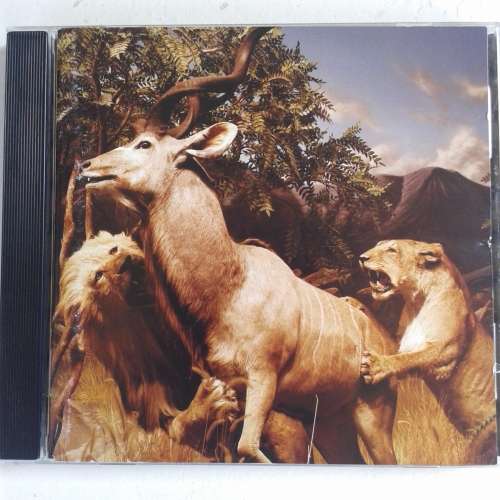 Interpol - Our Love To Admire (2007)