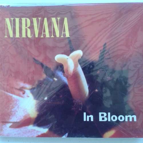 Nirvana - In Bloom (CD single digipak) (Import) (1992)