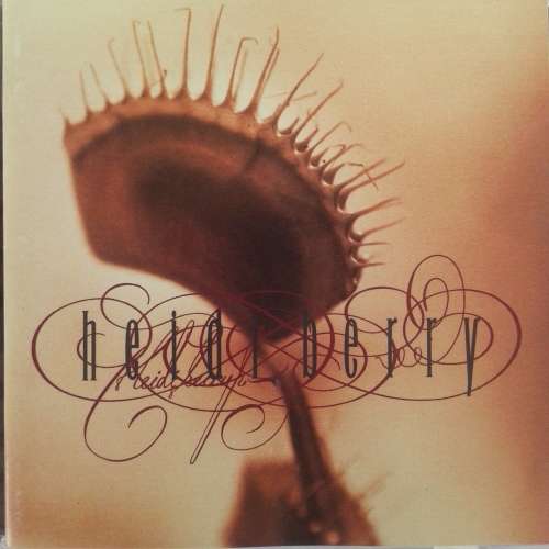 Heidi Berry - Heidi Berry [Import] (1993) [4AD]