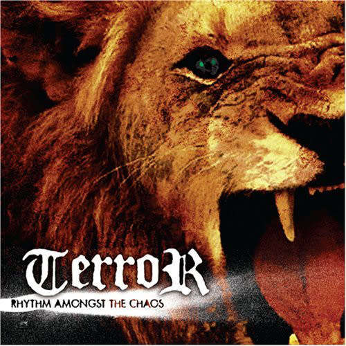 Terror - Rhythm Amongst The Chaos [EP] (2007)  *Hardcore   [HP]