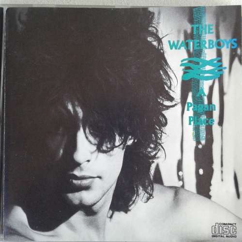The Waterboys - A Pagan Place [Import CD] (1984)