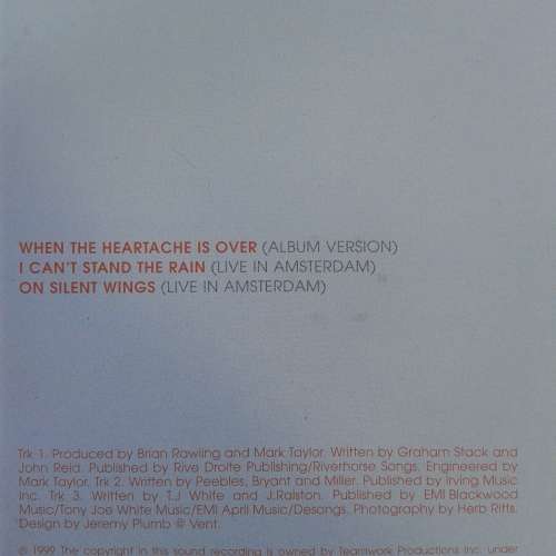 Tina Turner - When The Heartache Is Over (Import CD single)  (1999)