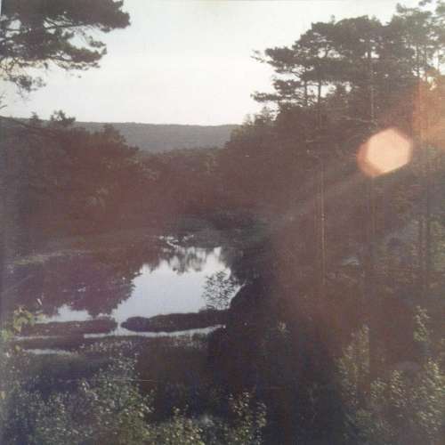 In The Woods... - A Return To The Isle Of Men (1996)