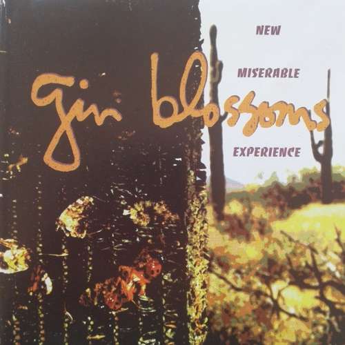 Gin Blossoms - New Miserable Experience [Import] (1992)