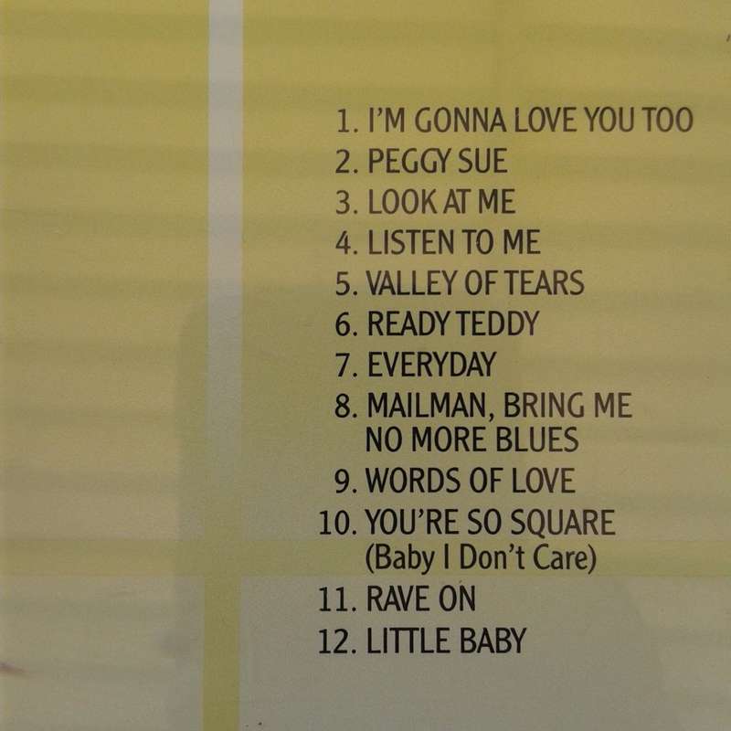 Buddy Holly - Buddy Holly (1989)
