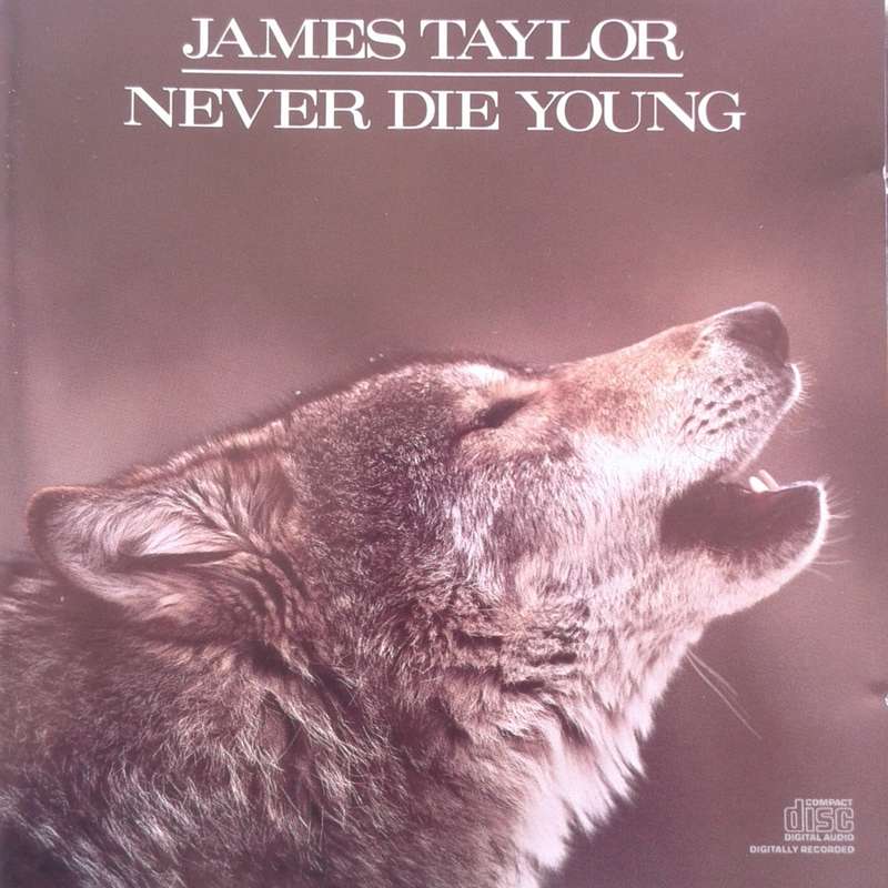 James Taylor - Never Die Young [Import CD] (1988)