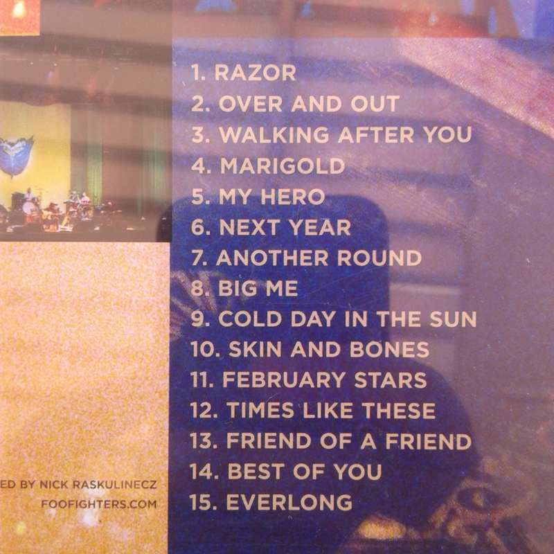 Foo Fighters - Skin And Bones (2006)