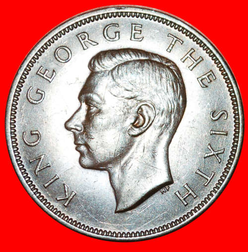 * BIRD AND FLOWERS: NEW ZEALAND  PENNY 1950! GEORGE VI (1937-1952) · LOW START!· NO RESERVE!