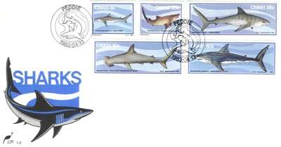 Ciskei Sharks