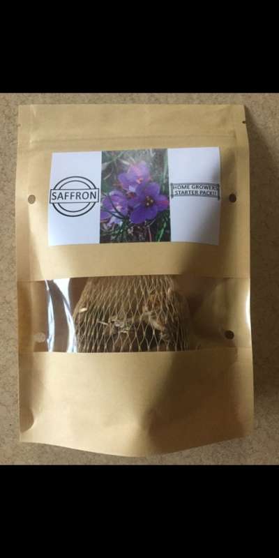 SAFFRON BULBS(STARTER PACK OF 5 CORMS)
