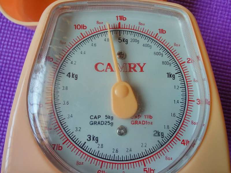 Camry Old-Fashion Kitchen Scale Light Pink