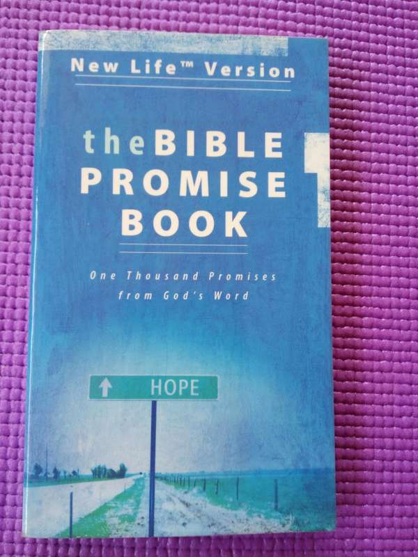 The Bible Promise Book: One Thousand Promises From God's Word (NLV)