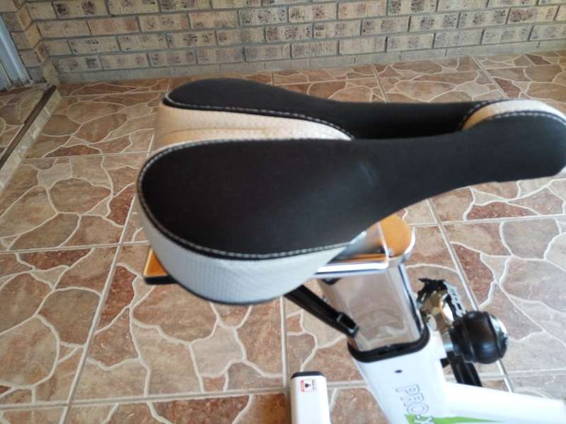 Trojan Pro-X450 Spinning Bike