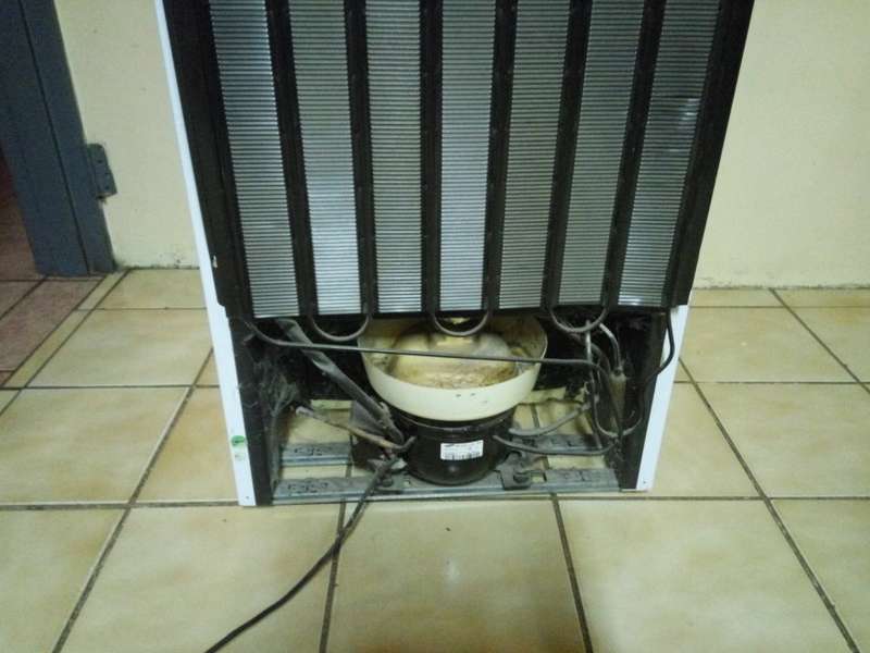 Small White KIC Refrigerator with Top Freezer