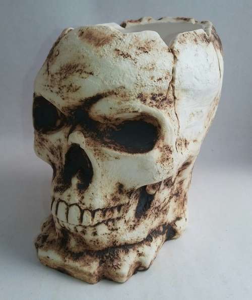 Skull Planter - Ceramics